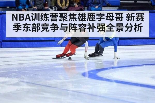 NBA训练营聚焦雄鹿字母哥 新赛季东部竞争与阵容补强全景分析